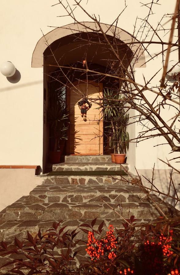 Casa Al Riccio Apartamento Capolona Exterior foto